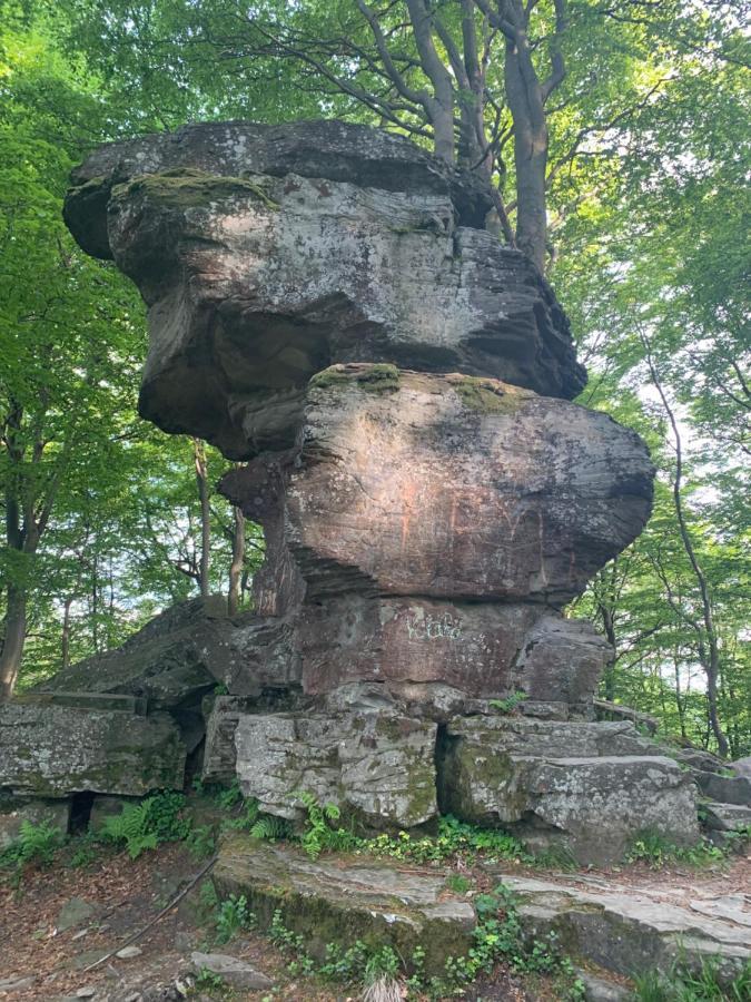Schronisko Gorskie Pttk Na Jaworzynie Krynickiej Крыница-Здруй Экстерьер фото